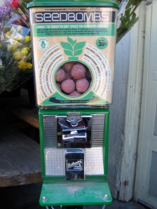 Seed Bombs