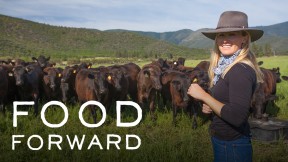 Food-Forward-COVE-16x9-288x162