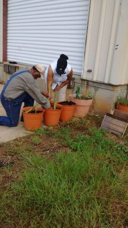 14054323_10210471569851850_226686450767656745_o