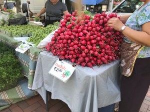 Radishes Madison Farmers Market