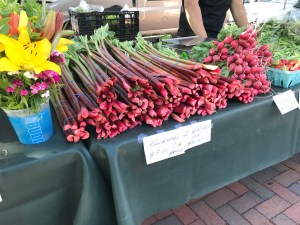 Rhubarb Madison Farmers Market