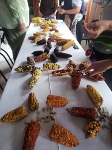 intercultural learning photo 5