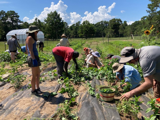 IFP students and staff learn from Mr. Maurice Bailey (center) from Save Our Legacy Ourself in Hogg Hummock, Sapelo Island, Georgia, 2022. (Photo: Jennifer Jo Thompson)